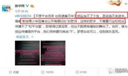 网红黑料是什么意思 c朝阳群众,朝阳群众视角下的网络舆论风暴